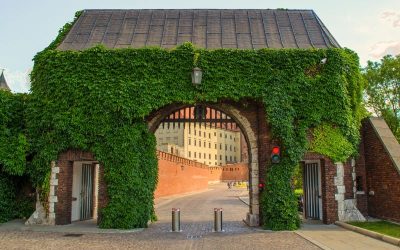 Wideofilmowanie Gryfice [pigułka wiedzy]